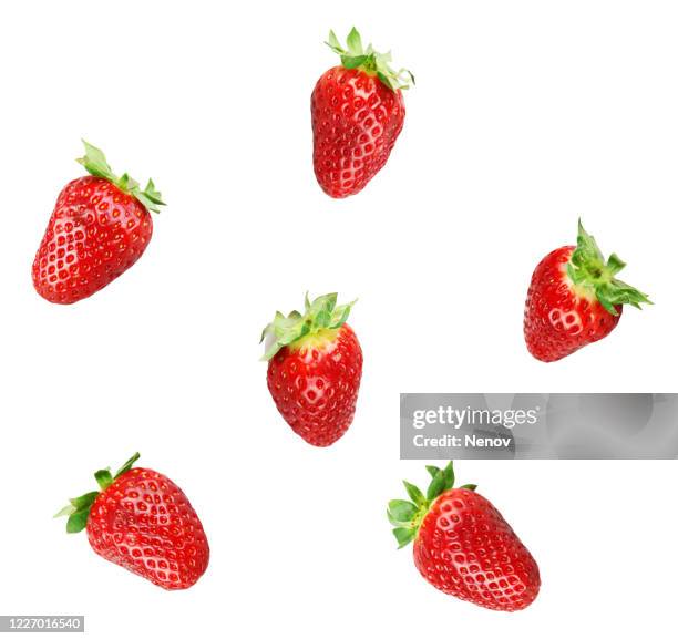 strawberry fruit isolated on white background - fraises fond blanc photos et images de collection