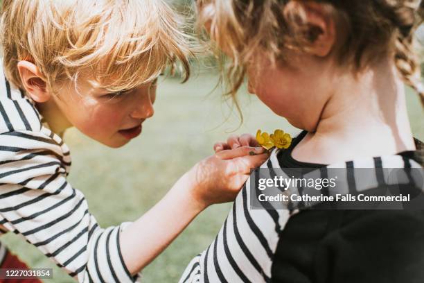 do you like butter? - buttercup photos et images de collection