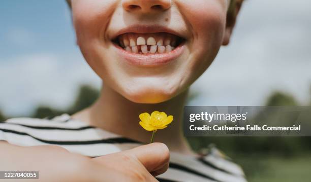 do you like butter? - buttercup - fotografias e filmes do acervo