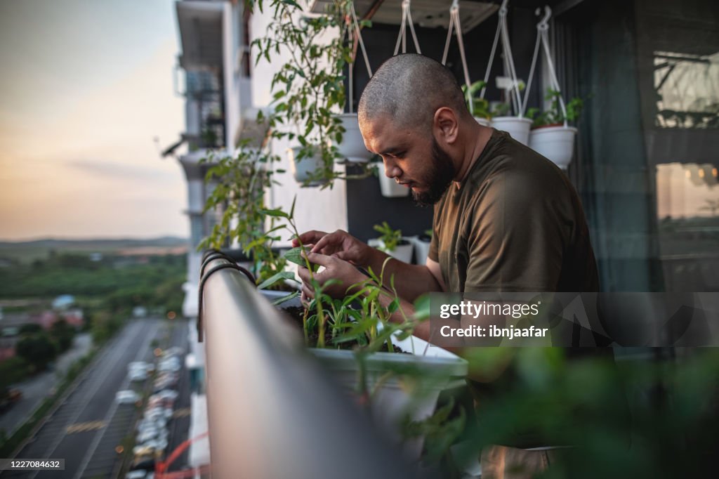 Home gardening at balcony