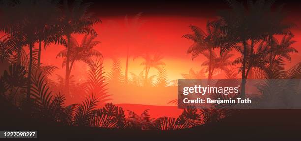 ilustrações de stock, clip art, desenhos animados e ícones de tropical rainforest jungle background with palm tree - floresta pluvial