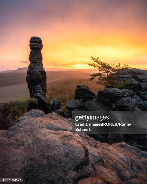 the barbarians at pfaffenstein at sunrise, elbe sandstone mountains, germany - elbsandsteingebirge stock-fotos und bilder