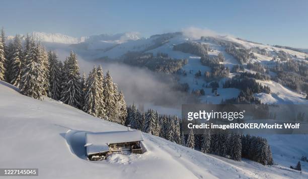 snowy mountain hut in winter, skiwelt wilder kaiser, brixen im thale, tyrol, austria - alphütte stock-fotos und bilder