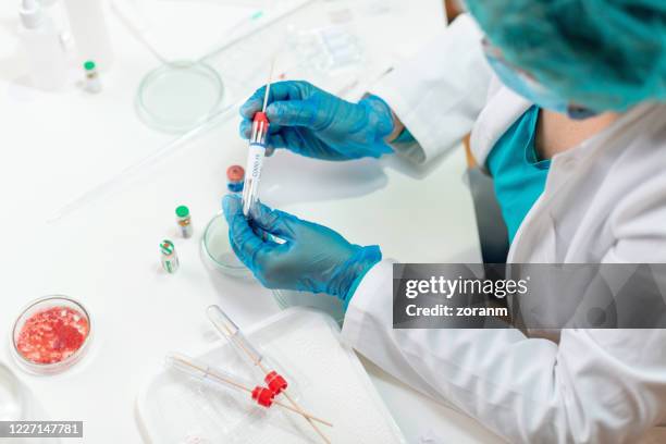 doctor with sterile packaging of tube and swab - epidemiology stock pictures, royalty-free photos & images