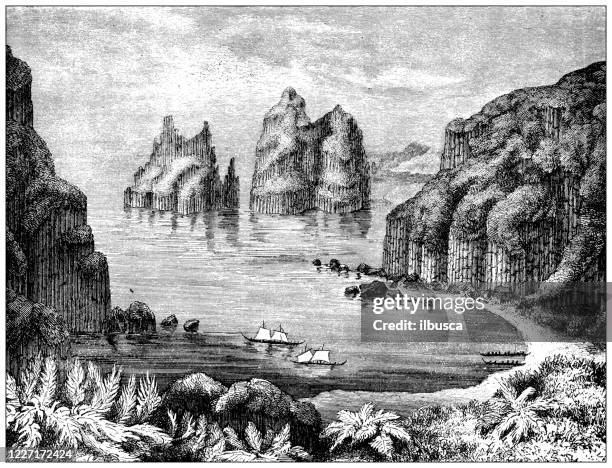 antike illustration: basaltfelsen in neuseeland - basalt stock-grafiken, -clipart, -cartoons und -symbole