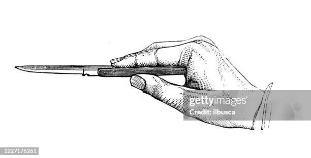 antique illustration: scalpel - scalpel stock illustrations