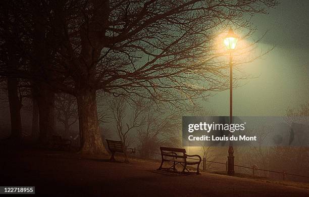 bench in fog - public park at night stock pictures, royalty-free photos & images