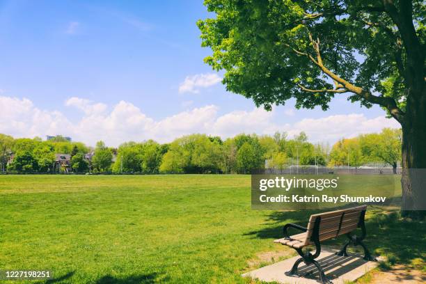 green nature of toronto parks - riserva naturale foto e immagini stock