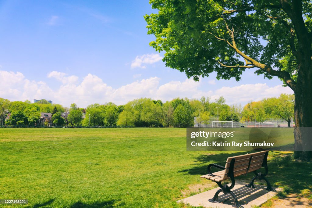 Green Nature of Toronto Parks