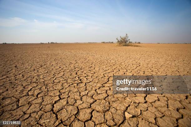 the desert - arid stockfoto's en -beelden