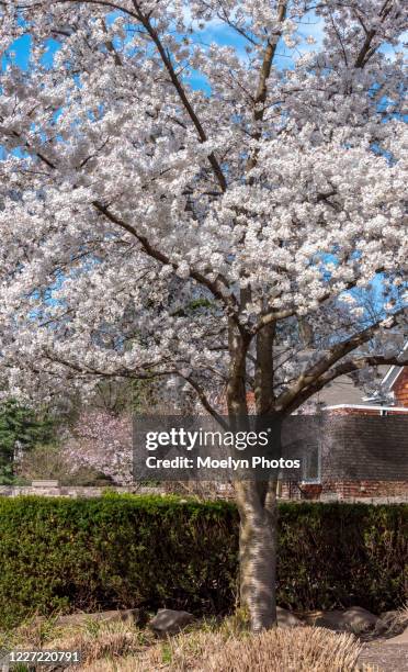 davis johnson park 0007 pano 2 - englewood, nj stock pictures, royalty-free photos & images