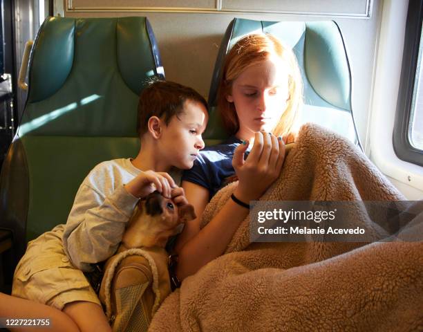 a teenage girl and her little brother riding on a train together and watching her smart phone together. they have a small dog between them in a dog carrier. - petite teen girl stock-fotos und bilder