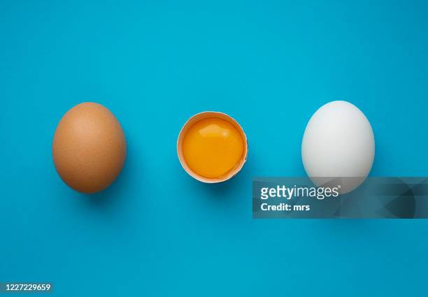 eggs - animal egg stock pictures, royalty-free photos & images