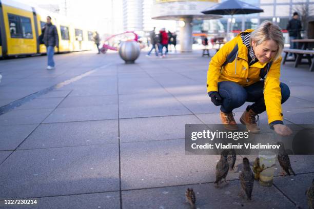 tourist feeding blackbirds on alexander platz in berlin - blackbird stock pictures, royalty-free photos & images