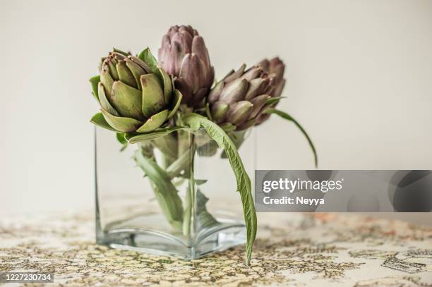 beautiful bouquet of fresh raw artichoke in vase on table - chou romanesco stock pictures, royalty-free photos & images