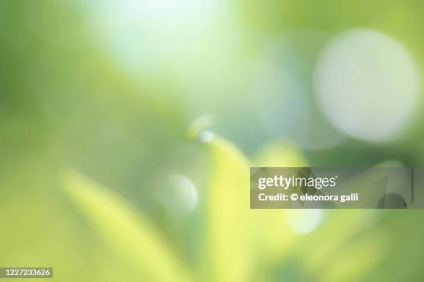 wallpaper - aura stock pictures, royalty-free photos & images