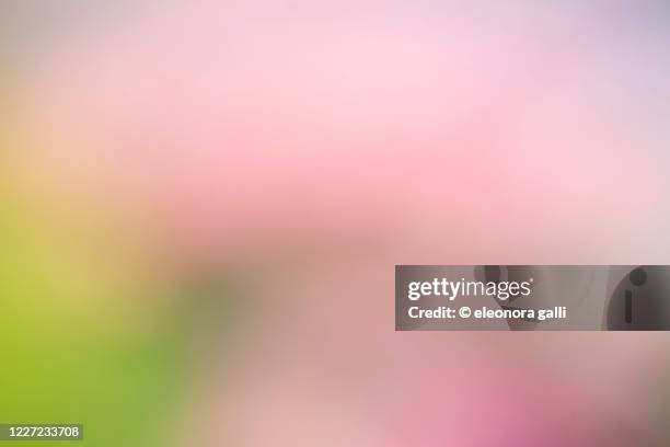 wallpaper - aura stock pictures, royalty-free photos & images