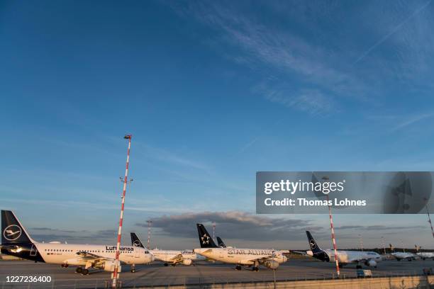 Passenger planes of German airline Lufthansa that have been temporarily taken out of service stand parked at Frankfurt Airport during the coronavirus...