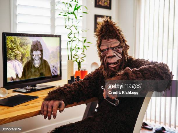 sasquatch and gorilla on a web chat - animal themes stock pictures, royalty-free photos & images