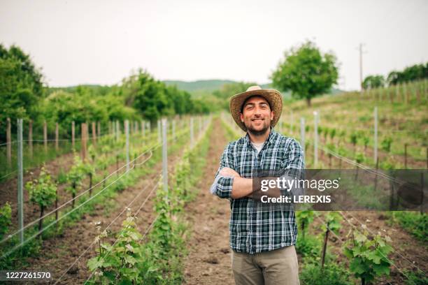 portrait of a grape grower - plaid shirt stock pictures, royalty-free photos & images