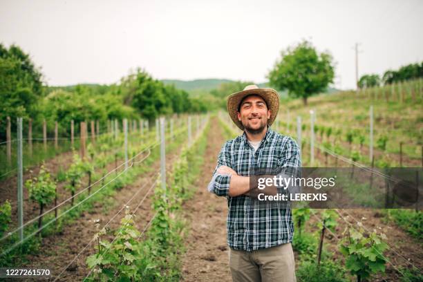 portrait of a grape grower - camisa xadrez - fotografias e filmes do acervo