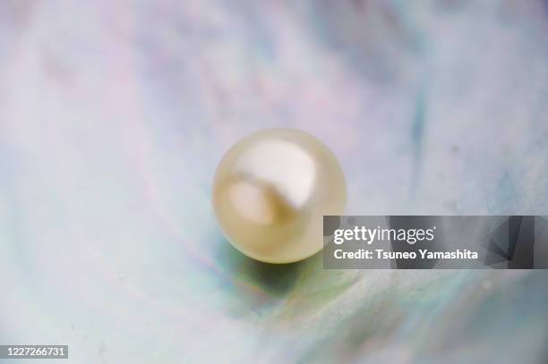 pearl and pearl oysters - pearl jewelry stock pictures, royalty-free photos & images