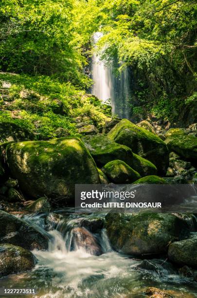 waterfall in the valley dyed in green - mie prefecture stock pictures, royalty-free photos & images