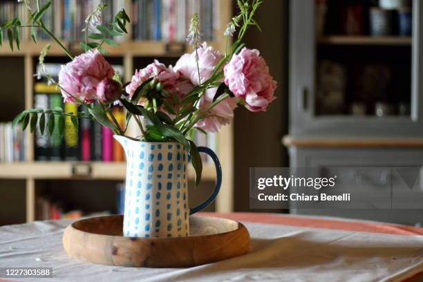 pink peony in a jug - pion bildbanksfoton och bilder