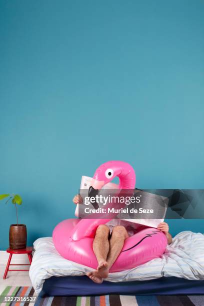 staycation. reading in bed - flamingos stock-fotos und bilder