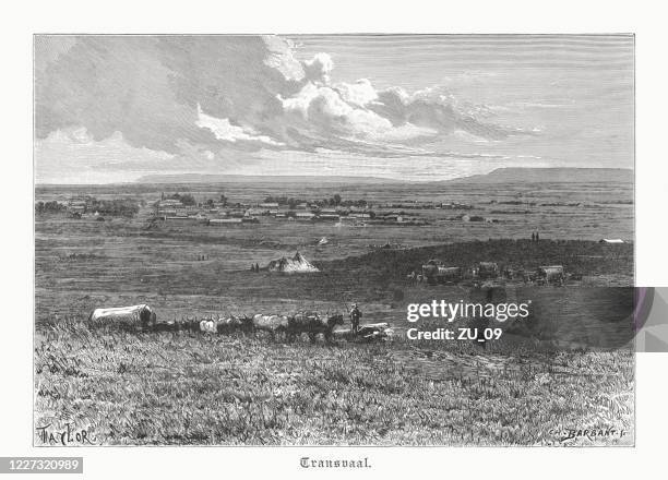 a settlement in transvaal (south africa), wood engraving, published 1891 - limpopo province stock illustrations