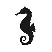 Isolated black silhouette of seahorse on white background. Side view. Silhouette of marine animal. Sea horse.