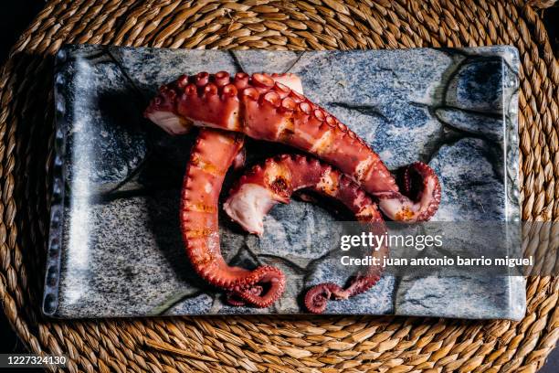 octopus on stone plate and rustic tablecloth. - tentacle imagens e fotografias de stock