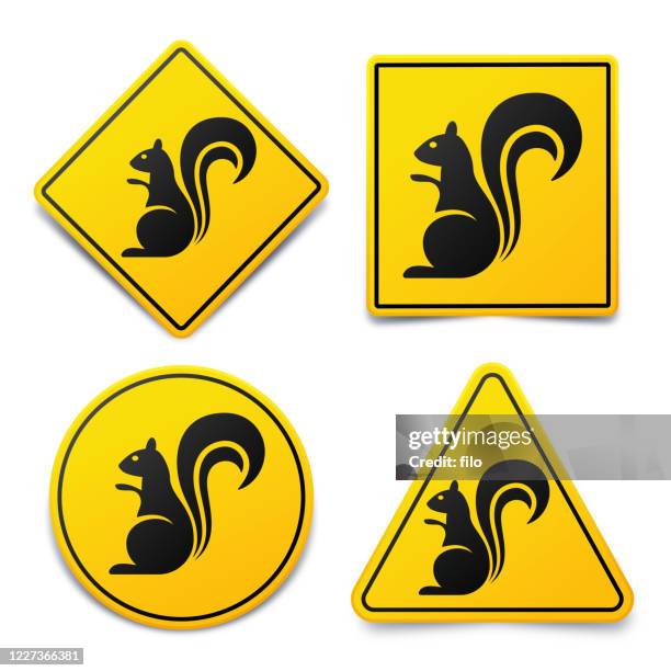 warnung eichhörnchen wildlife zeichen - infestation stock-grafiken, -clipart, -cartoons und -symbole