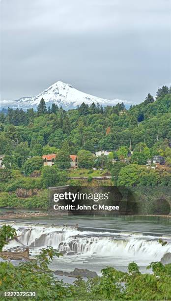 mount hood with willamette falls - willamette valley stock pictures, royalty-free photos & images