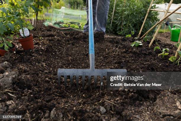 Hand Rake Food Plots 5,301 Garden Rakes Stock Photos, High-Res Pictures, and Images - Getty ...