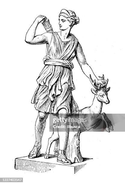 antike illustration: diana von versailles oder artemis, göttin der jagd - diana stock-grafiken, -clipart, -cartoons und -symbole