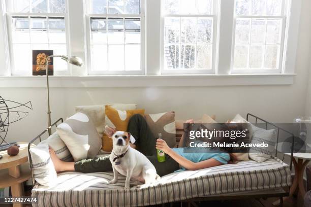 teenage redheaded girl laying on her back on top of indoor bed lounge with dog sitting next to her four windows above her head looking away from the camera knee bend up wearing blue short sleeved shirt and green sweat pants holding green soda small dog - girl on couch with dog stock pictures, royalty-free photos & images