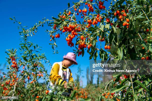 41 Jinghe County Photos & High Res Pictures Getty Images