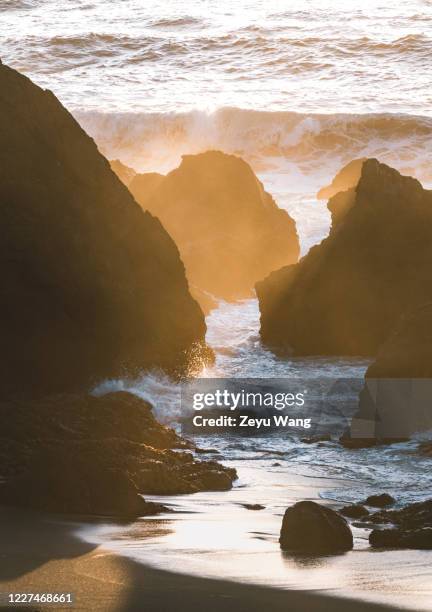 pacific ocean - san bruno stock pictures, royalty-free photos & images