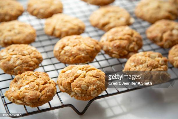 anzac cookies - coconut biscuits stockfoto's en -beelden