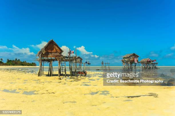 scenic view of the sea gypsy's traditional stilt houses at low tide on maiga island, sabah, malaysian borneo - island of borneo fotografías e imágenes de stock
