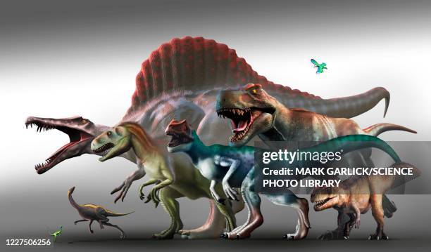 Metasaurus Illustrations, cliparts, dessins animés et icônes de Megasaurus - Getty ...