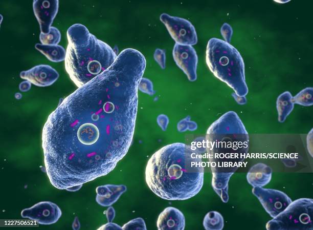 stockillustraties, clipart, cartoons en iconen met clostridium botulinum bacteria, illustration - bacterie