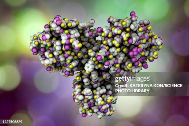 coronavirus main protease, molecular model - enzyme stock illustrations