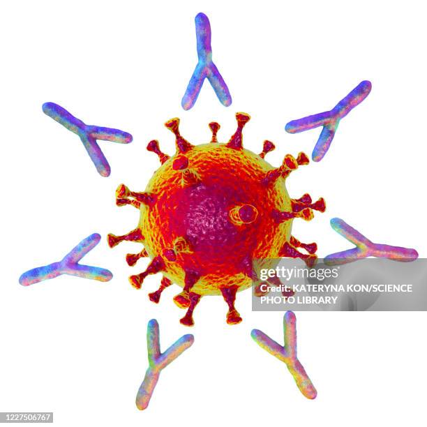antibodies responding to covid-19 coronavirus, illustration - membrane stock illustrations
