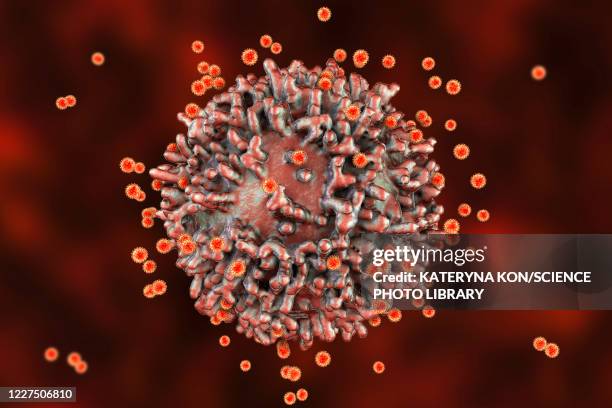 sars-cov-2 viruses and immune cell, illustration - macrophage stock illustrations