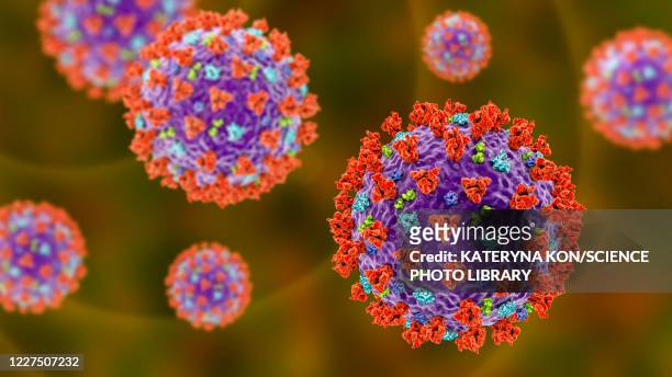 coronavirus particles, illustration - virology stock illustrations