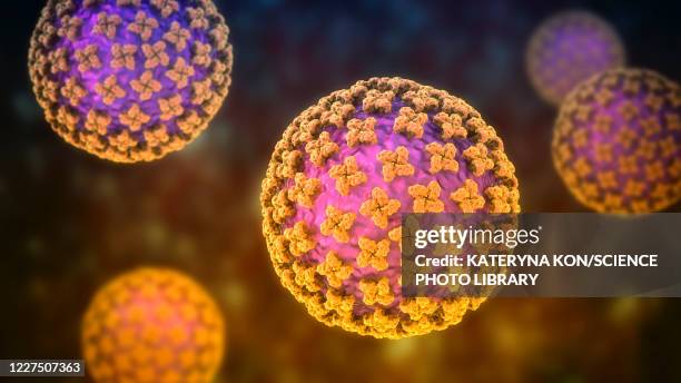 ilustraciones, imágenes clip art, dibujos animados e iconos de stock de hantavirus particles, illustration - hantavirus