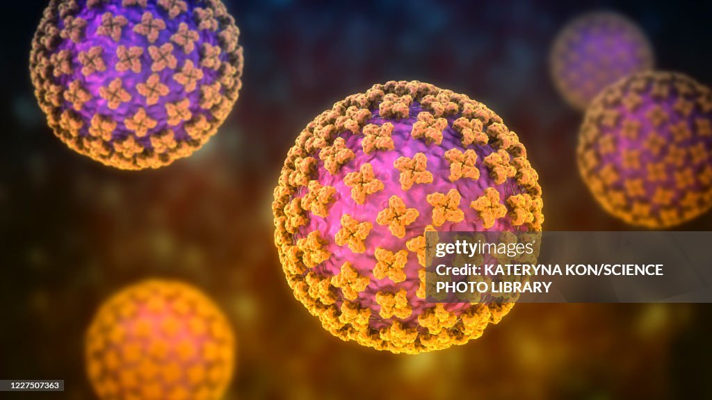 Hantavirus particles, illustration