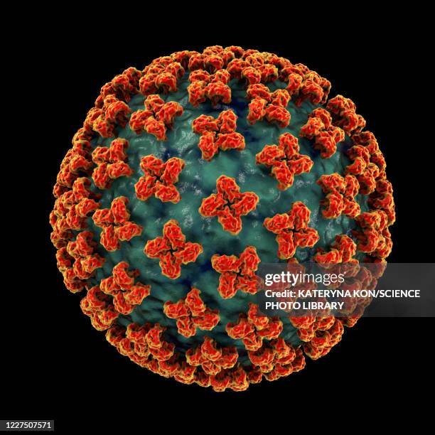 ilustraciones, imágenes clip art, dibujos animados e iconos de stock de hantavirus particles, illustration - hantavirus